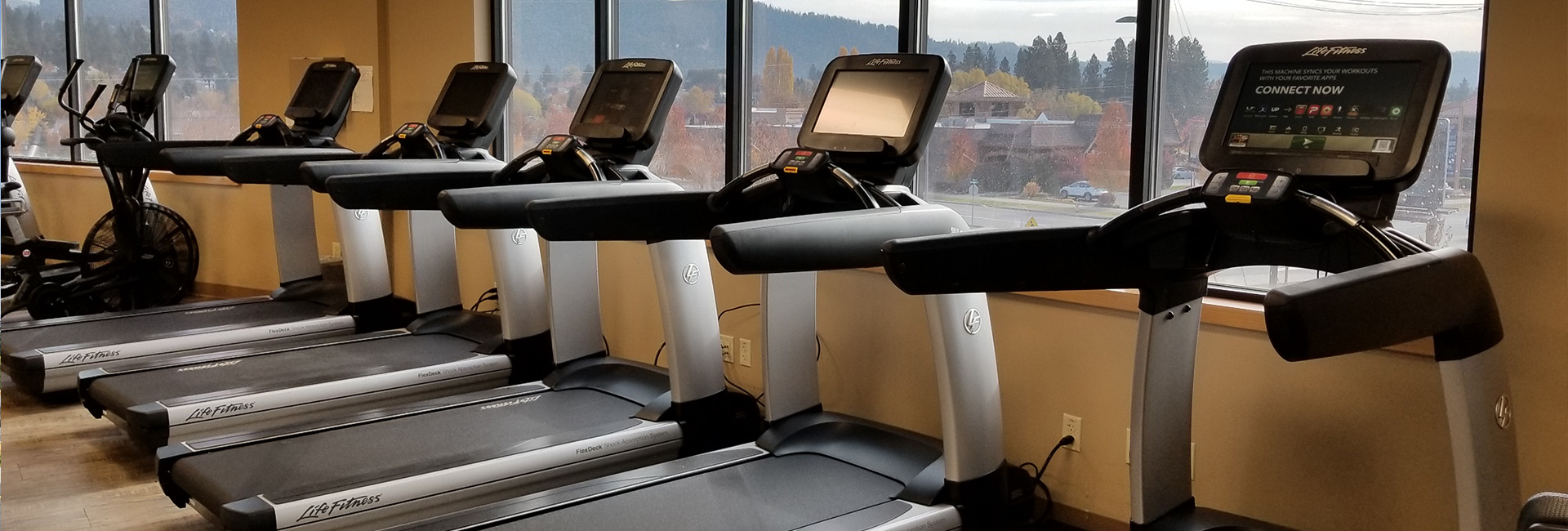 rows of cardio machines for cardio training